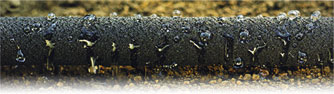 Soaker Hose